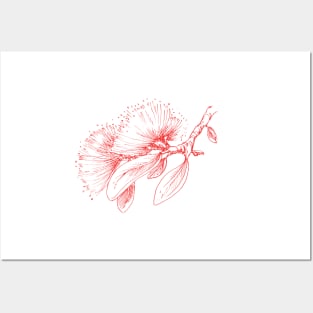 Red Pohutukawa flower pattern Posters and Art